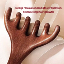 Hanwave Wooden Scalp Massage Comb