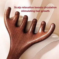 Hanwave Wooden Scalp Massage Comb