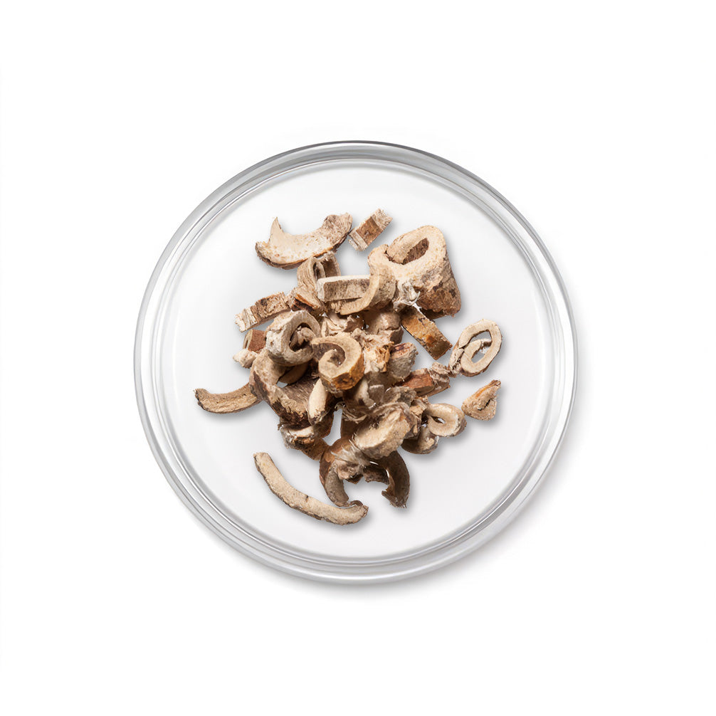 Morus-Alba-Bark-Extract_e2ecd09f-6fb4-4b2f-a6b2-48c6da5dceba.jpg