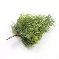 Pinus Densiflora