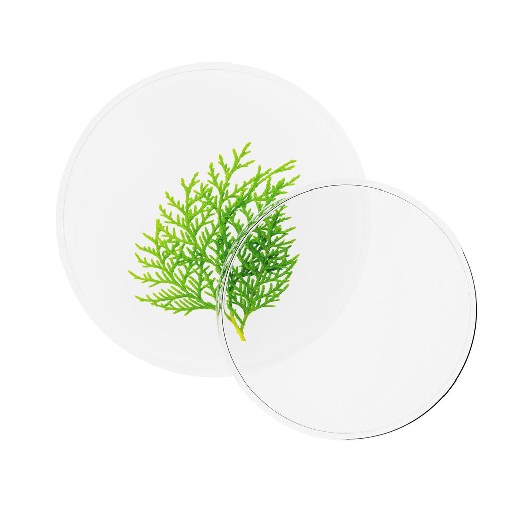Thuja-Orientalis-Leaf-Extract_320ff0dd-7adb-4324-97a2-14f2686786cd.jpg