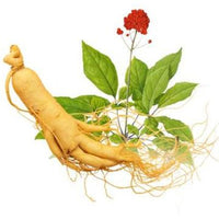 Ginseng extract