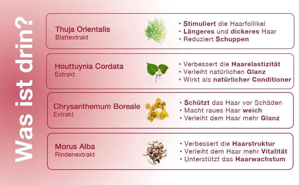 Hanwave Revitalising All - in - One Hair Mask with 14+ Plant Extracts – Promotes Healthy Hair Growth 180ml - Heol Cosmetics UG