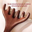 Hanwave Wooden Scalp Massage Comb - Heol Cosmetics UG