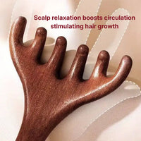 Hanwave Wooden Scalp Massage Comb - Heol Cosmetics UG
